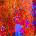 Image: First image from the photoset 'damage (cccxiii)'.