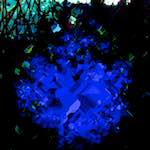 Image: Eighth image from the photoset 'damage (cccxiii)'.