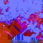 image: Image from the photoset ‘
damage (cccxiv)
’.