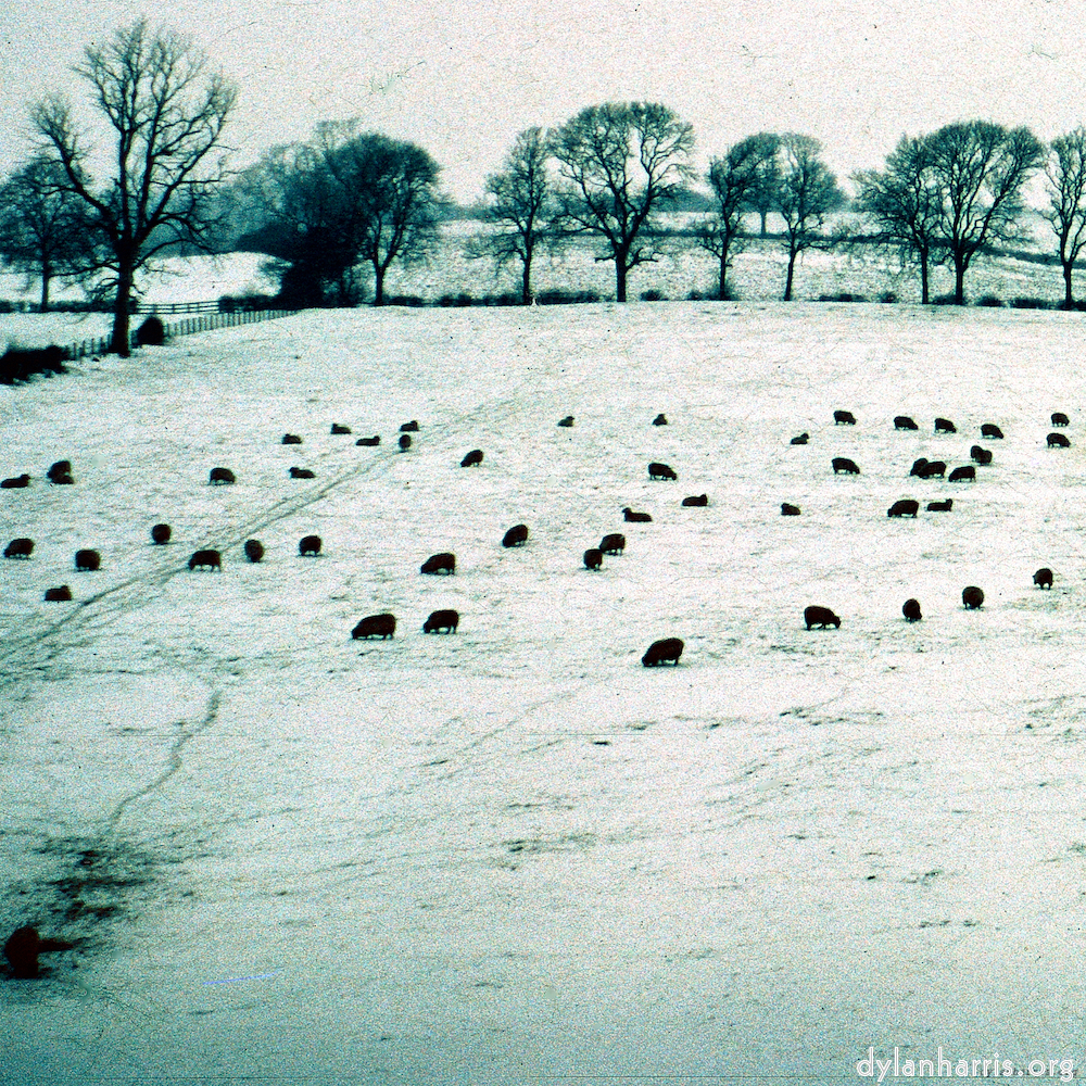 image: This is ‘
damage (cccxv) 2
’.