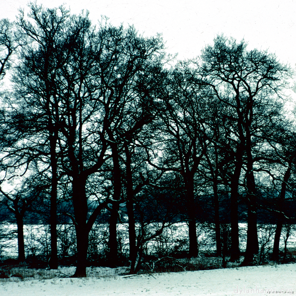 image: This is ‘
damage (cccxv) 3
’.