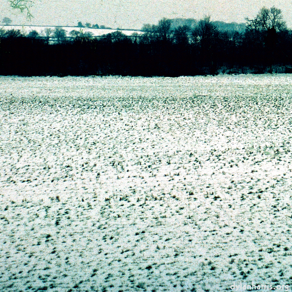 image: This is ‘
damage (cccxv) 5
’.