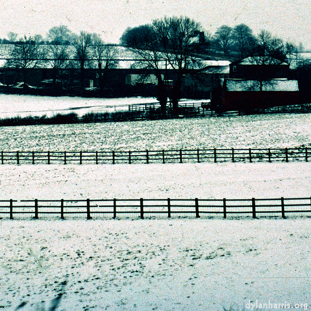 Image: Image 'damage (cccxv) 6'.