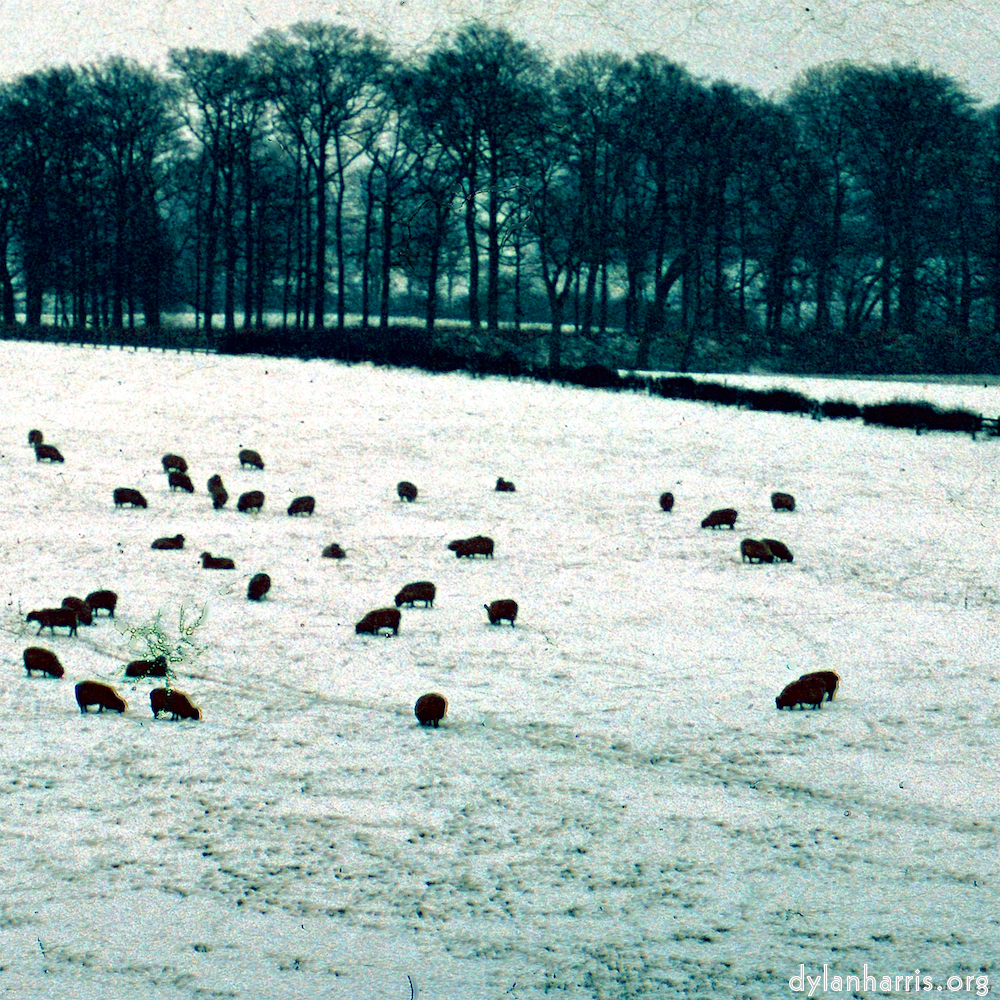 Image: Image 'damage (cccxv) 7'.