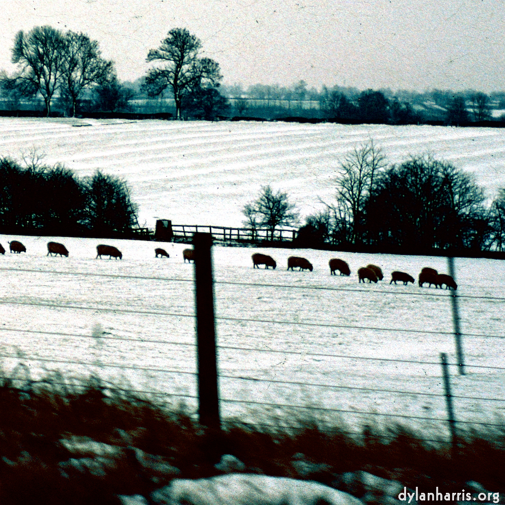 Image: Image 'damage (cccxv) 9'.