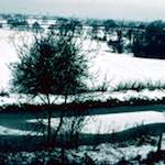 image: Image from the photoset ‘
damage (cccxv)
’.