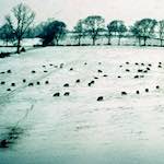 image: Image from the photoset ‘
damage (cccxv)
’.