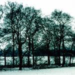 image: Image from the photoset ‘
damage (cccxv)
’.