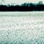 image: Image from the photoset ‘
damage (cccxv)
’.