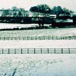 image: Image from the photoset ‘
damage (cccxv)
’.