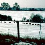 image: Image from the photoset ‘
damage (cccxv)
’.