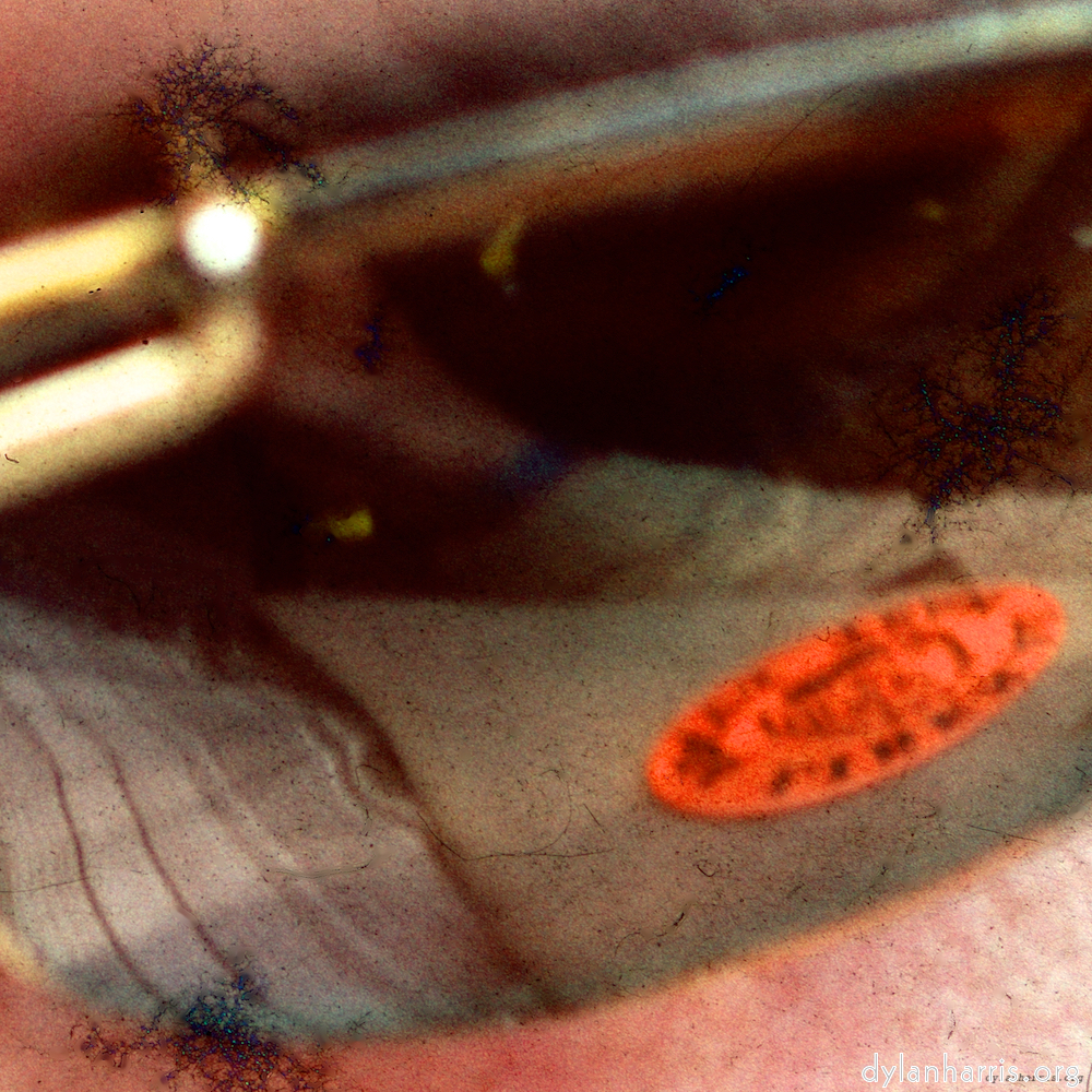 image: This is ‘
damage (cccxvi) 1
’.