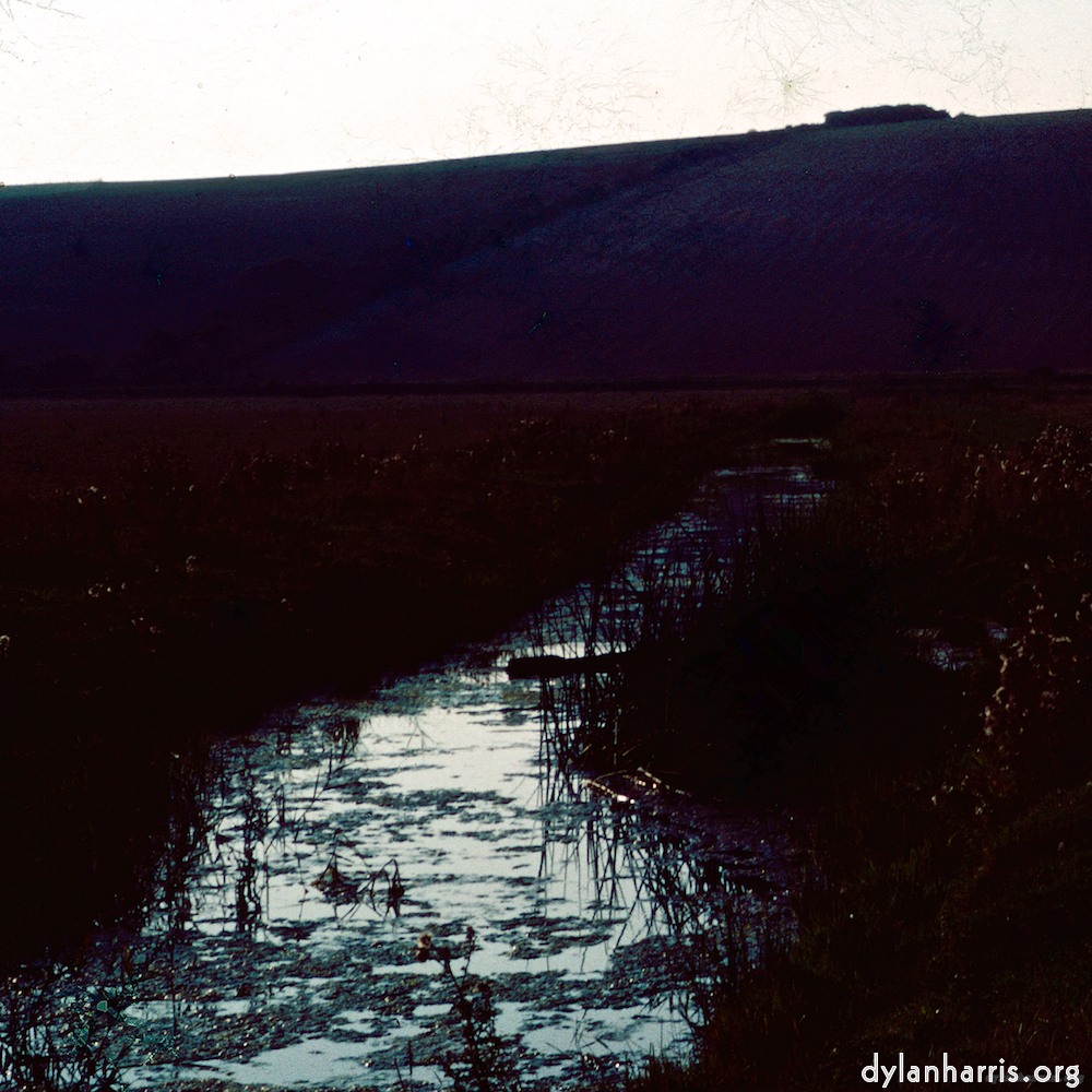 image: This is ‘
damage (cccxvi) 2
’.