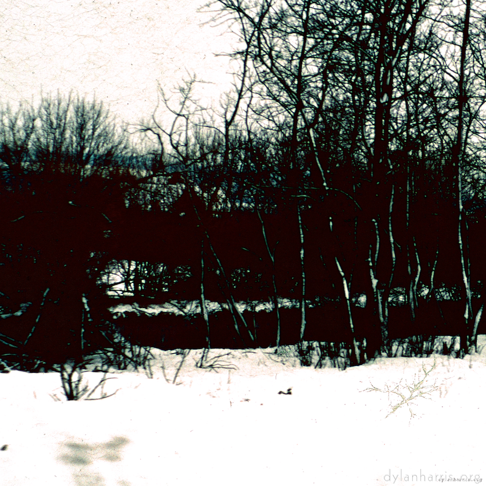 Image: Image 'damage (cccxvi) 4'.