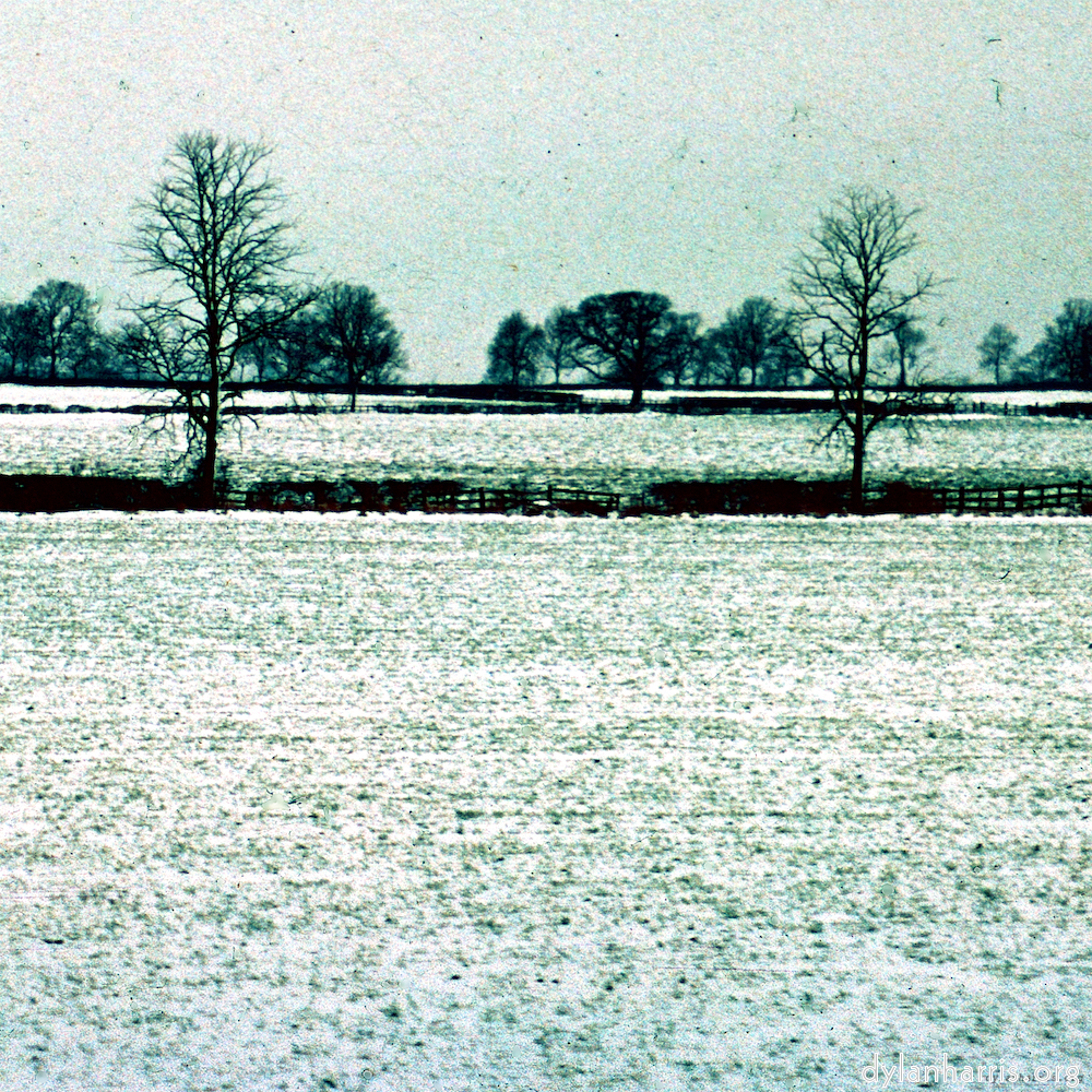 Image: Image 'damage (cccxvi) 5'.