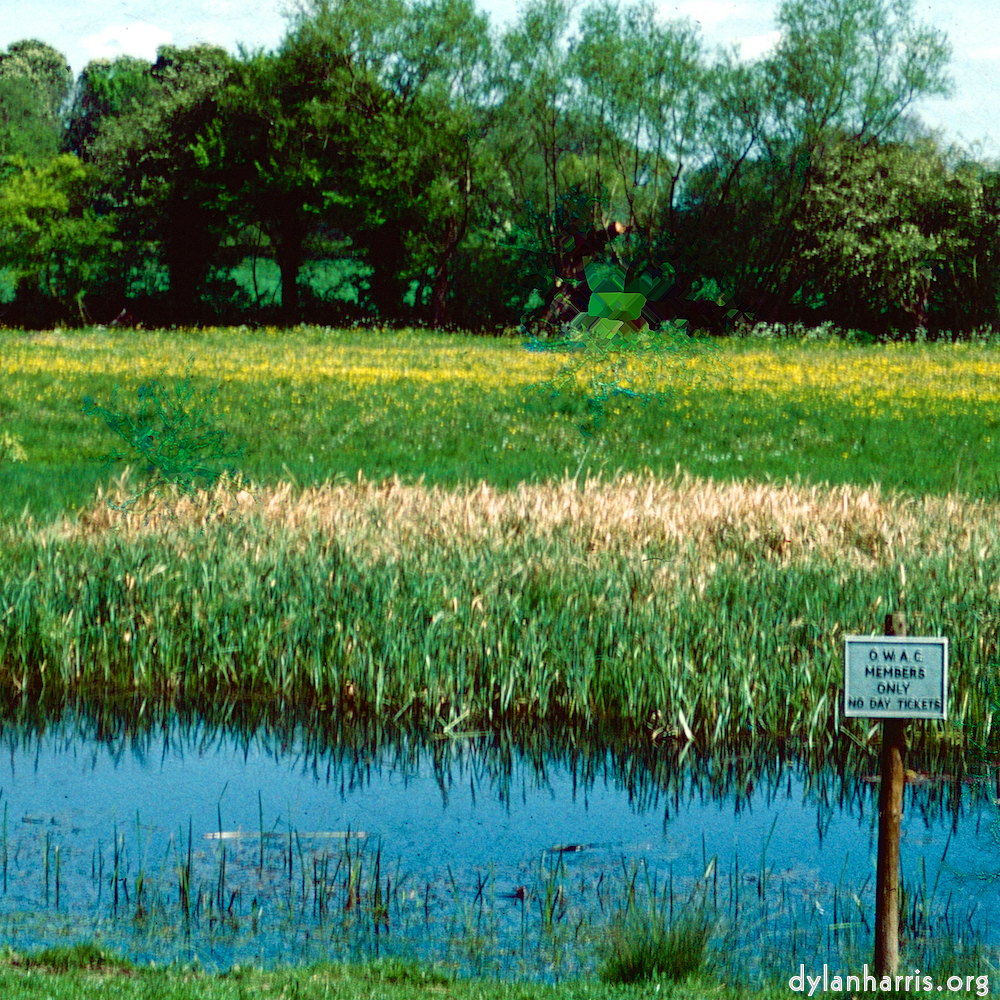 Image: Image 'damage (cccxvi) 8'.