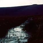 image: Image from the photoset ‘
damage (cccxvi)
’.