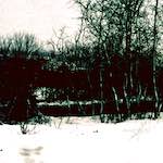 image: Image from the photoset ‘
damage (cccxvi)
’.