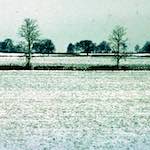 image: Image from the photoset ‘
damage (cccxvi)
’.