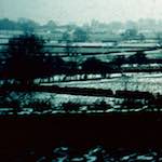 image: Image from the photoset ‘
damage (cccxvi)
’.