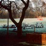 image: Image from the photoset ‘
damage (cccxvi)
’.