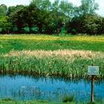 image: Image from the photoset ‘
damage (cccxvi)
’.