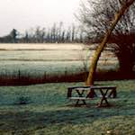 image: Image from the photoset ‘
damage (cccxvi)
’.