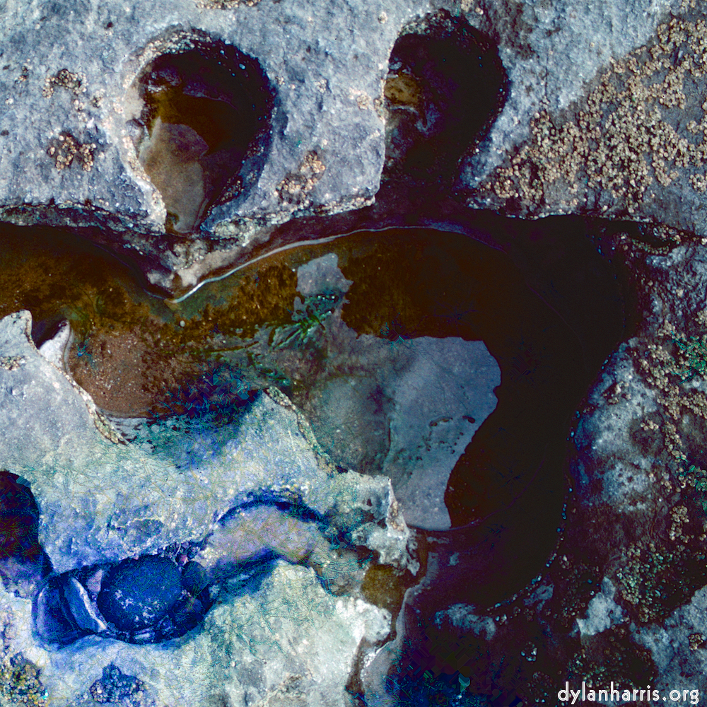 image: This is ‘
damage (cccxvii) 1
’.