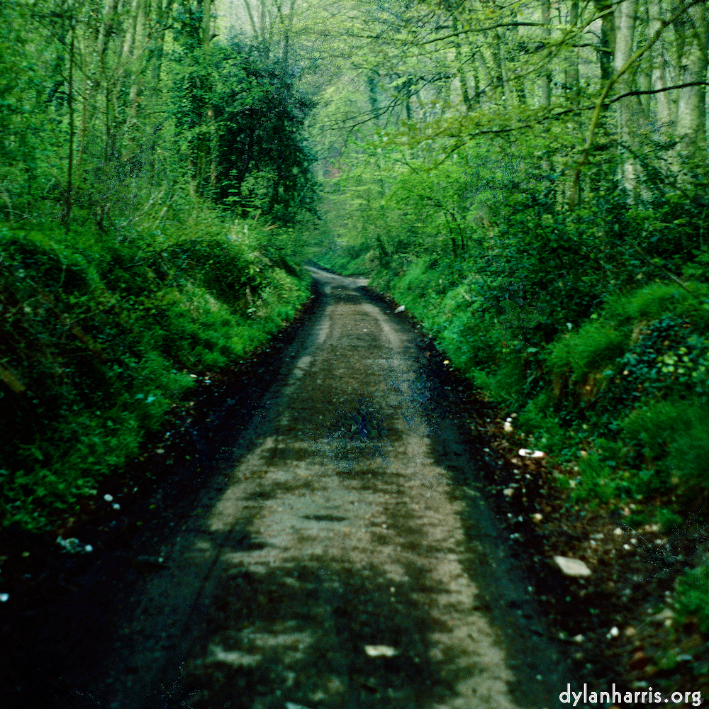 image: This is ‘
damage (cccxvii) 9
’.