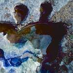 image: damage (cccxvii) photoset