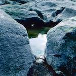 Third image from the photoset 'damage (cccxvii)'.