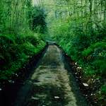 Ninth image from the photoset 'damage (cccxvii)'.