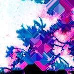 image: damage (cccxviii) photoset