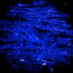 image: Image from the photoset ‘
damage (cccxix)
’.