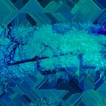 image: Image from the photoset ‘
damage (cccxix)
’.