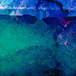 image: Image from the photoset ‘
damage (cccxxii)
’.