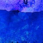 image: Image from the photoset ‘
damage (cccxxii)
’.