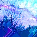 image: Image from the photoset ‘
damage (cccxxiv)
’.