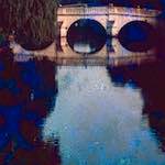 image: Image from the photoset ‘
damage (ccxxxvi)
’.