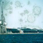 image: Image from the photoset ‘
damage (ccxxxvi)
’.