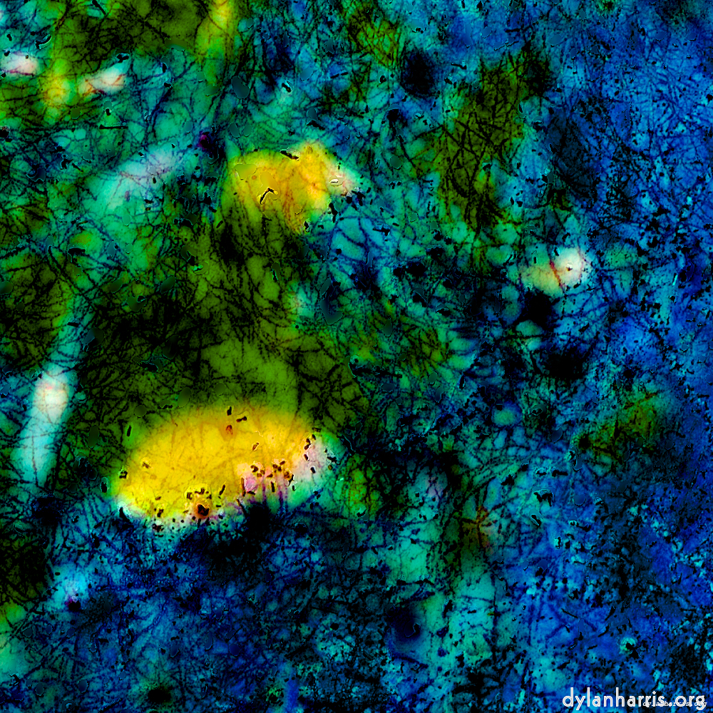 image: This is ‘
damage (ccxxxix) 7
’.