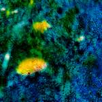 image: Image from the photoset ‘
damage (ccxxxix)
’.