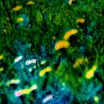 image: Image from the photoset ‘
damage (ccxxxix)
’.