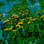 Image: First image from the photoset 'damage (ccxl)'.