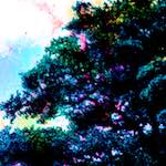 Image: Second image from the photoset 'damage (ccxl)'.