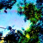 image: damage (ccxl) photoset