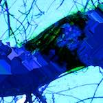 Image: First image from the photoset 'damage (ccxli)'.