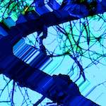 Image: Third image from the photoset 'damage (ccxli)'.