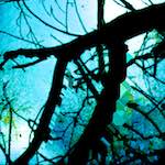 Image: Fourth image from the photoset 'damage (ccxli)'.