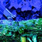 Image: Sixth image from the photoset 'damage (ccxli)'.